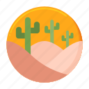 desert, cactus, succulent, nature, cacti