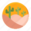 desert, cactus, succulent, nature, cacti 