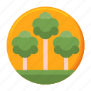 forest, nature, ecology, park, trees