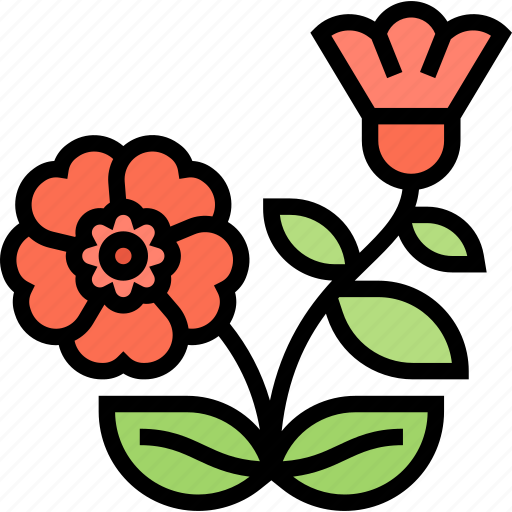 Cherokee, rose, flower, garden, nature icon - Download on Iconfinder