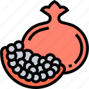 pomegranate, food, fruit, seed, nutrition
