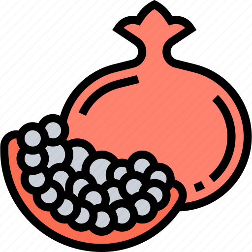 Pomegranate, food, fruit, seed, nutrition icon - Download on Iconfinder