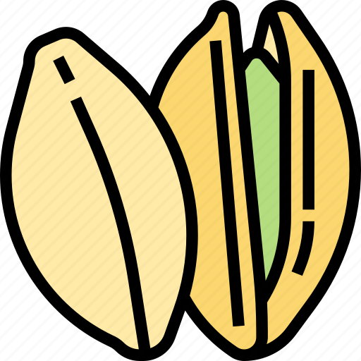 Pistachio, nut, appetizer, food, snack icon - Download on Iconfinder