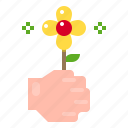 flower, gift, hand 