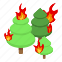forest, fire, isometric