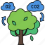photosynthesis, co2, biology, ecology, tree, o2, oxygen, eco 