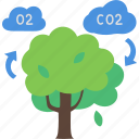 photosynthesis, co2, biology, ecology, tree, o2, oxygen