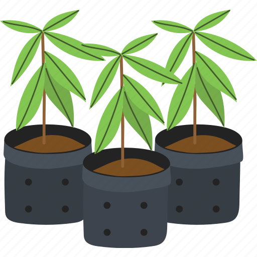Green, growth, plant, tree, seedling icon - Download on Iconfinder