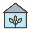 greenhouse, agriculture, ecology, plant, garden