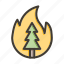 wildfire, forest, burn, tree, nature 