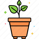 plants, plant, pot, garden