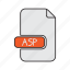 asp, extension, net, server, type 