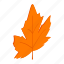 autumn, autumnal, forest, isometric, maple, natural, nature 