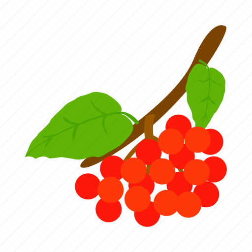 Berry, fruit, hawthorn, isometric, leaf, nature, red icon - Download on Iconfinder