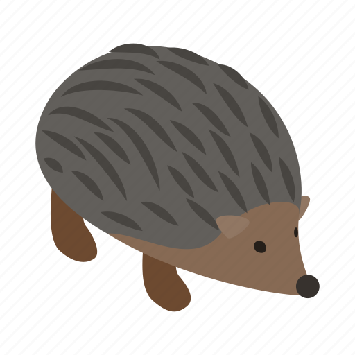 Animal, hedgehog, isometric, mammal, prickly, wild, wildlife icon - Download on Iconfinder