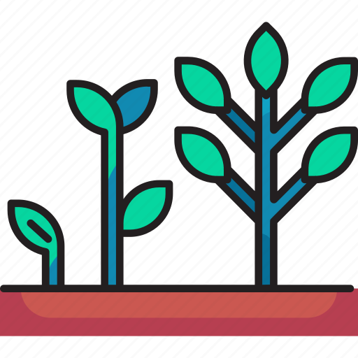 Growing tree, tree, plant, leaf, grow, farming, farmer icon - Download on Iconfinder