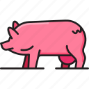 pig, piggy, animal, pork, farming, farmer, farm, agriculture