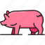 pig, piggy, animal, pork, farming, farmer, farm, agriculture 