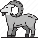 ram goat, goat, sheep, animal, farming, farmer, farm, agriculture