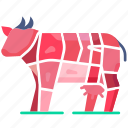 different part of meat, butcher, meat, beef, cow, farming, farmer, farm, agriculture