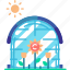 greenhouse with flower, greenhouse, flower, floral, glasshouse, farming, farmer, farm, agriculture 