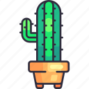 cactus, tree, plant, pot, succulent, gardener, gardening, agriculture, planting