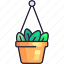 hanging pot, plant, flower, leaf decoration, gardener, gardening, agriculture, planting