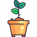 sprout pot, sprout, plant, leaf, pot, gardener, gardening, agriculture, planting