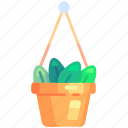 hanging pot, plant, flower, leaf decoration, gardener, gardening, agriculture, planting