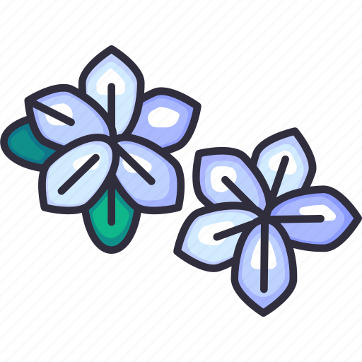 Frangipani, flower, tropical, exotic, bloom, summer, holiday icon - Download on Iconfinder