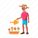man, old, senior, elderly, gardener, watering, flowers