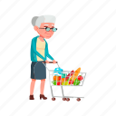 elderly, grandmother, lady, go, grocery, shopping, grandma 