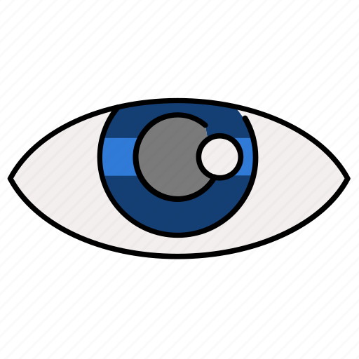 Explore, eye, magnifier, view, visibility, vision icon - Download on Iconfinder