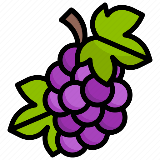 Grape, fruit, diet, food, healthy icon - Download on Iconfinder