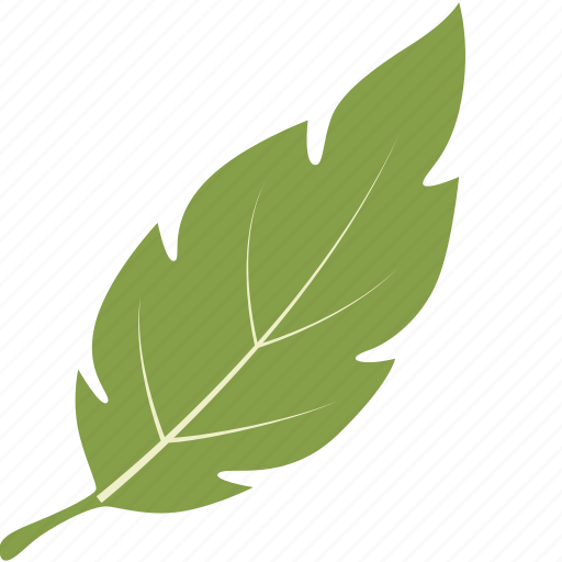 Green, leaf, leaves, nature, tree, tropical icon - Download on Iconfinder