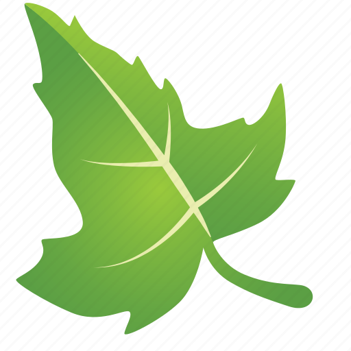 Green, leaf, leaves, nature, tree, tropical icon - Download on Iconfinder