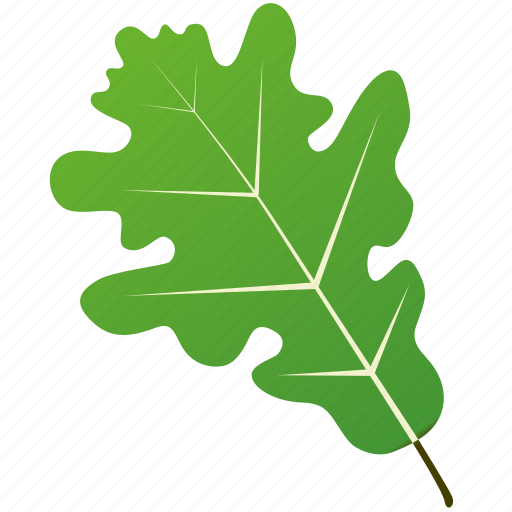 Leaf, leaves, maple, mulberry, natural, nature, tree icon - Download on Iconfinder