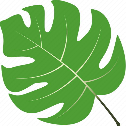 Leaf, leaves, maple, nature, tree, tropical icon - Download on Iconfinder