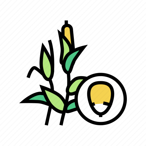 Corn, groat, groats, natural, food, amaranth icon - Download on Iconfinder