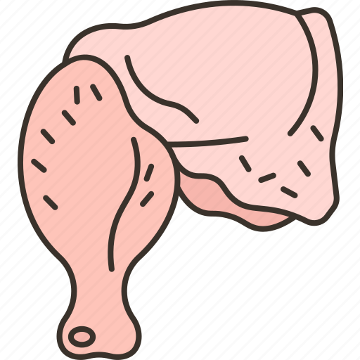 Chicken, leg, meat, raw, cooking icon - Download on Iconfinder