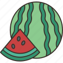 watermelon, fruit, sliced, fresh, juicy