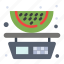 balance, food, fruits, watermelon 