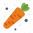 carrot, food, vegetable 
