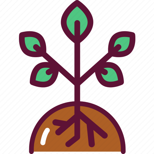 Plant, growth, agriculture icon - Download on Iconfinder