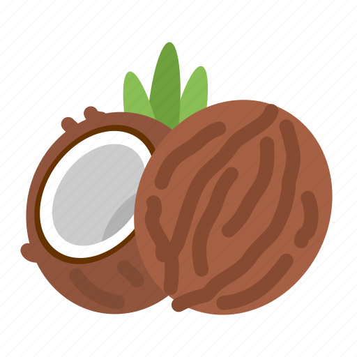 Half, friuts, vegan, coconut, fruit, food, plant icon - Download on Iconfinder