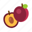 half, vegan, plum, fruit, apricot, food, plant 