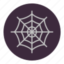 animal, creepy, halloween, spider, spiderweb, white