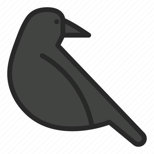 Animnal, bird, crow, halloween icon - Download on Iconfinder