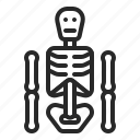 bone, dead, death, halloween, skeleton, xrays