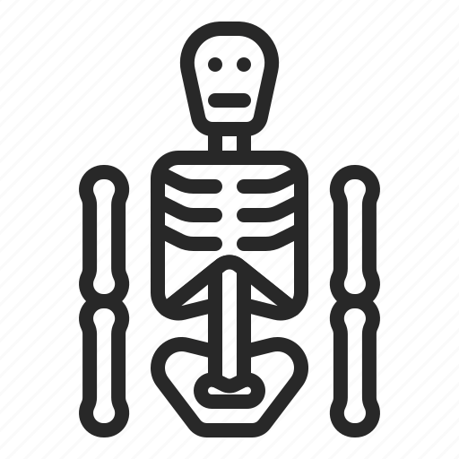 Bone, dead, death, halloween, skeleton, xrays icon - Download on Iconfinder
